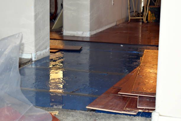 Professional Burst Pipe Cleanup technician working in Madison, ME